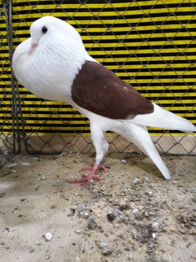 20190126_094638