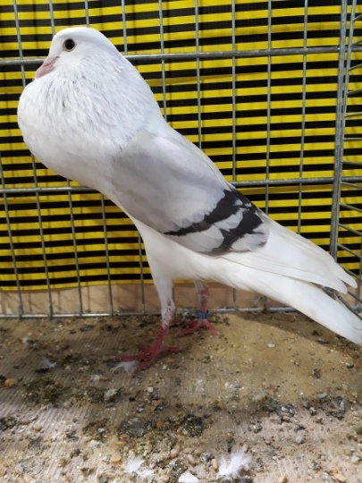 20190126_094941