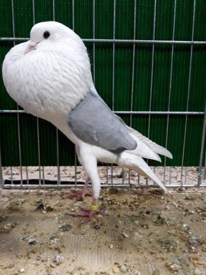 20190126_100922